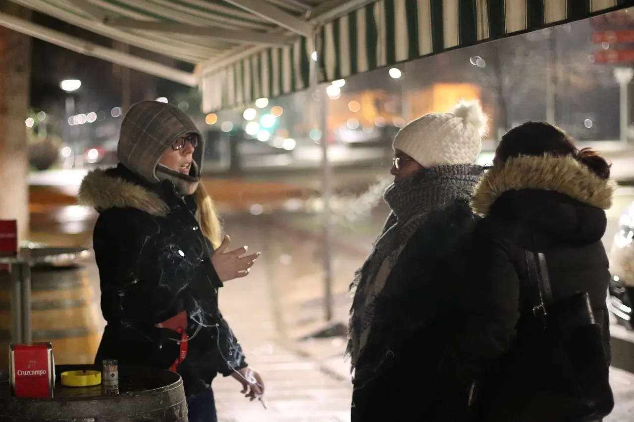 Medvirkende i Edderkoppen