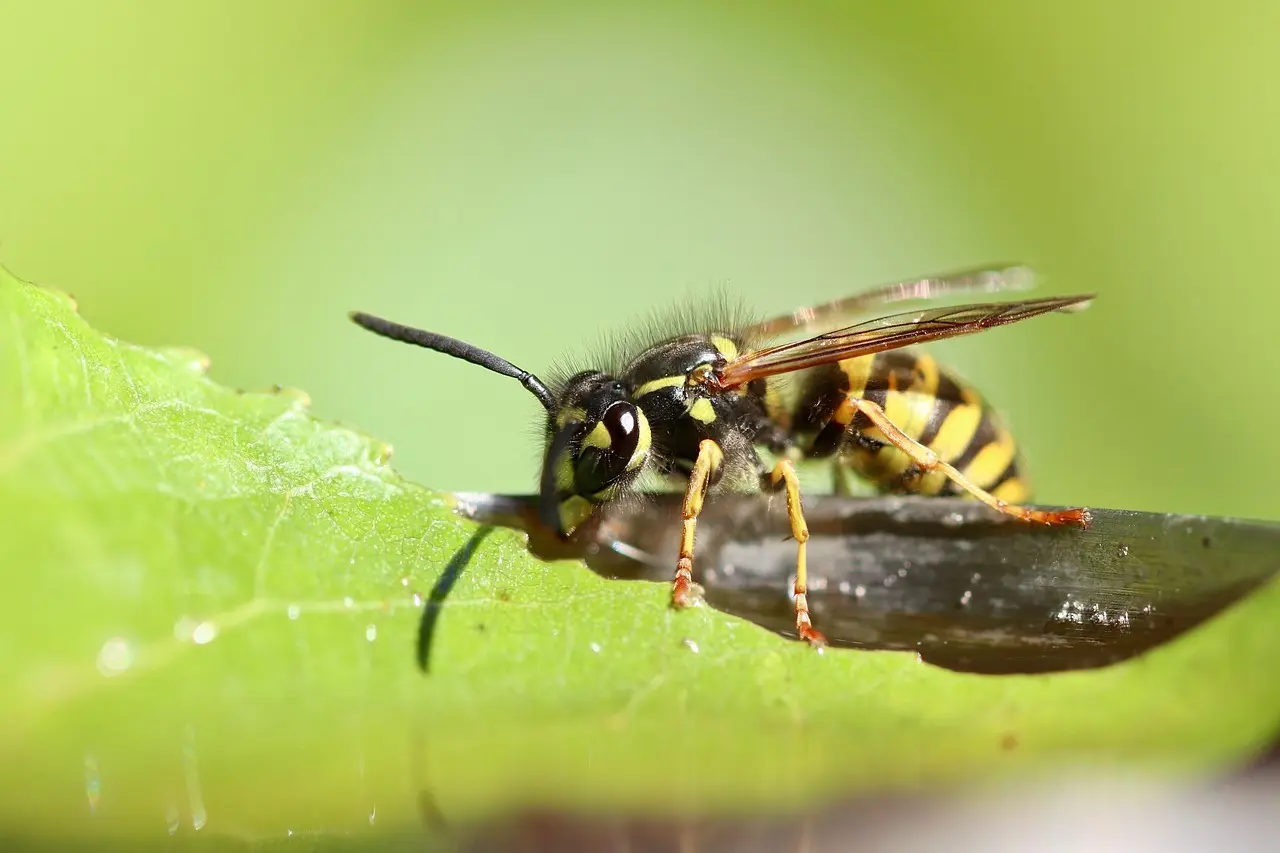 Optimer natbelysningen med bevægelsesstyrede LED-strips
