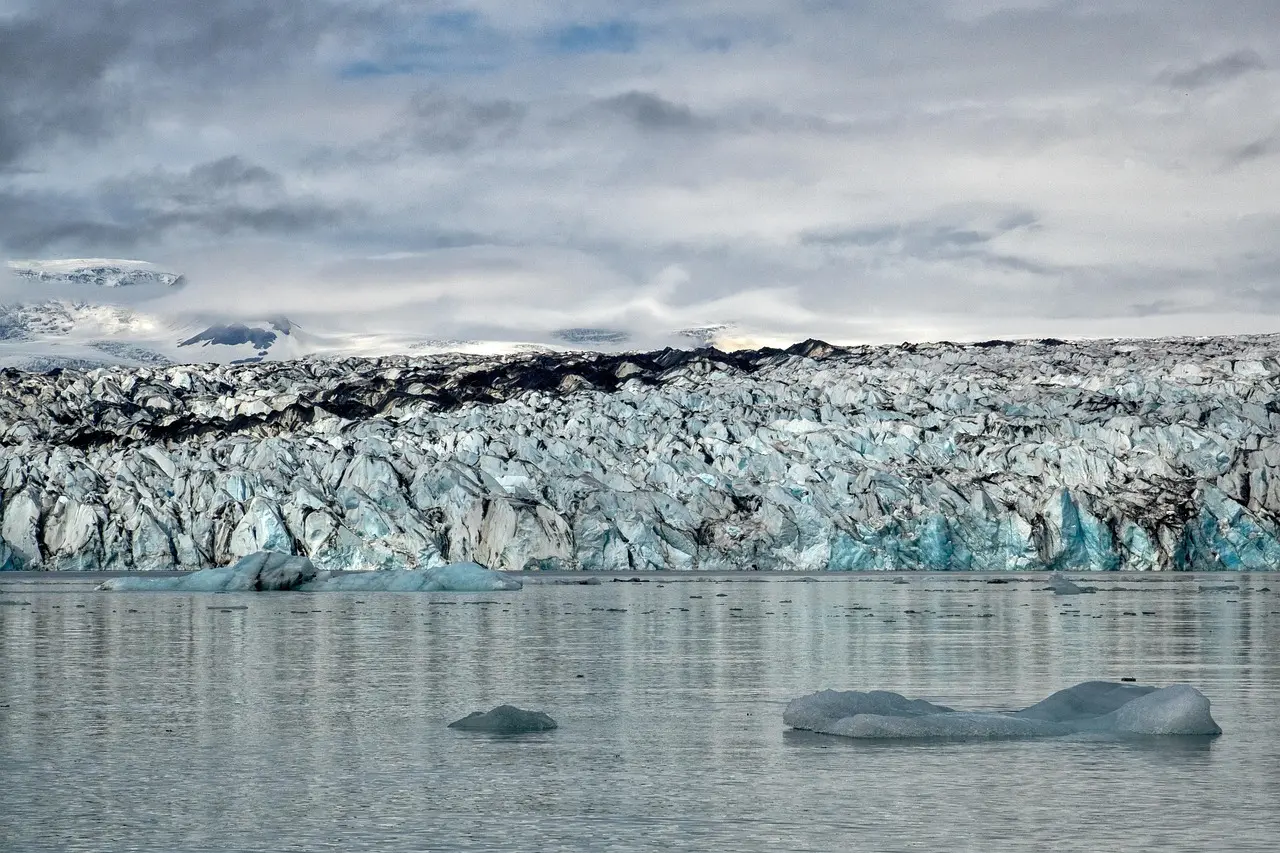 Bundfisk - Guide til dit krydsord